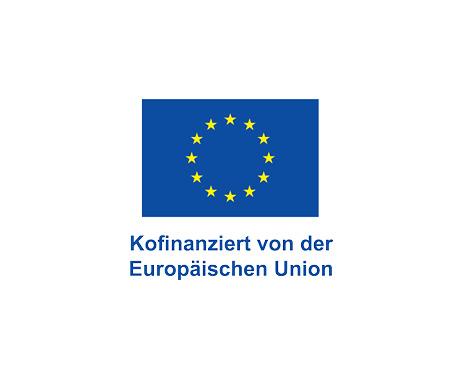 EU Logo